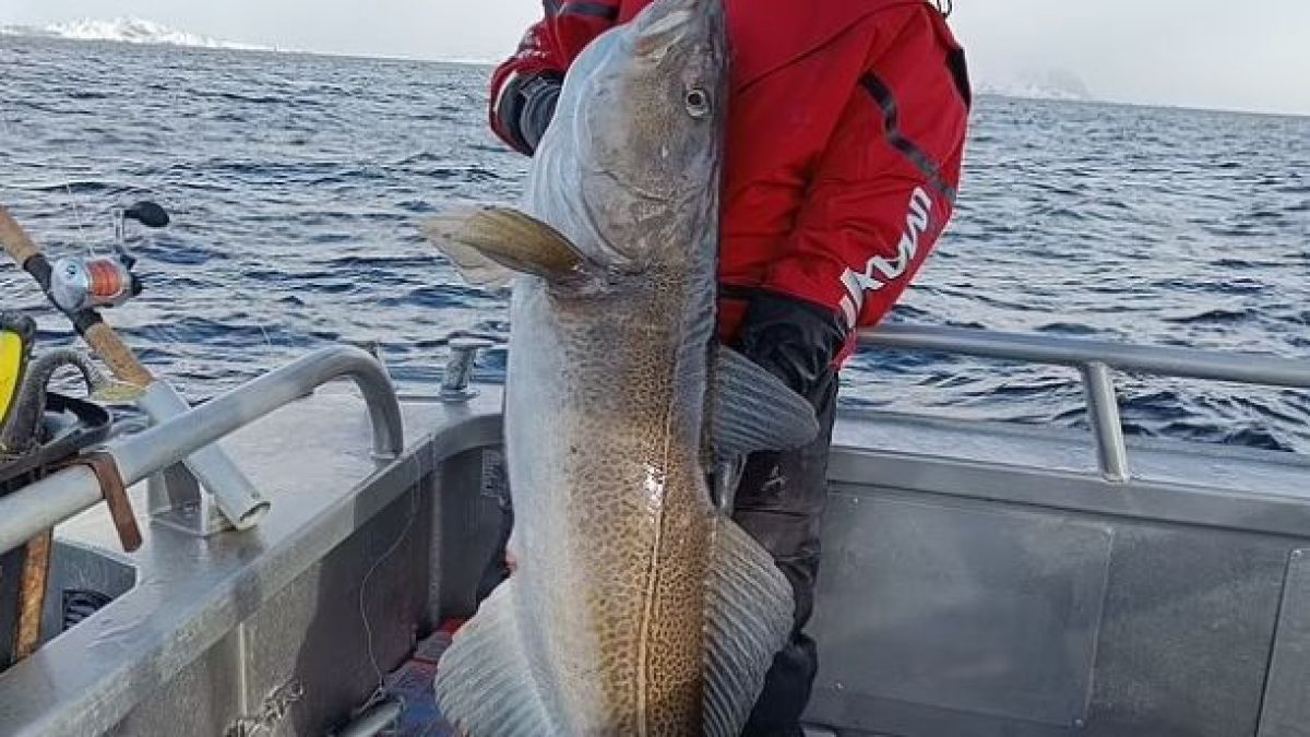 Баща и син извадиха огромно чудовище от морето СНИМКИ