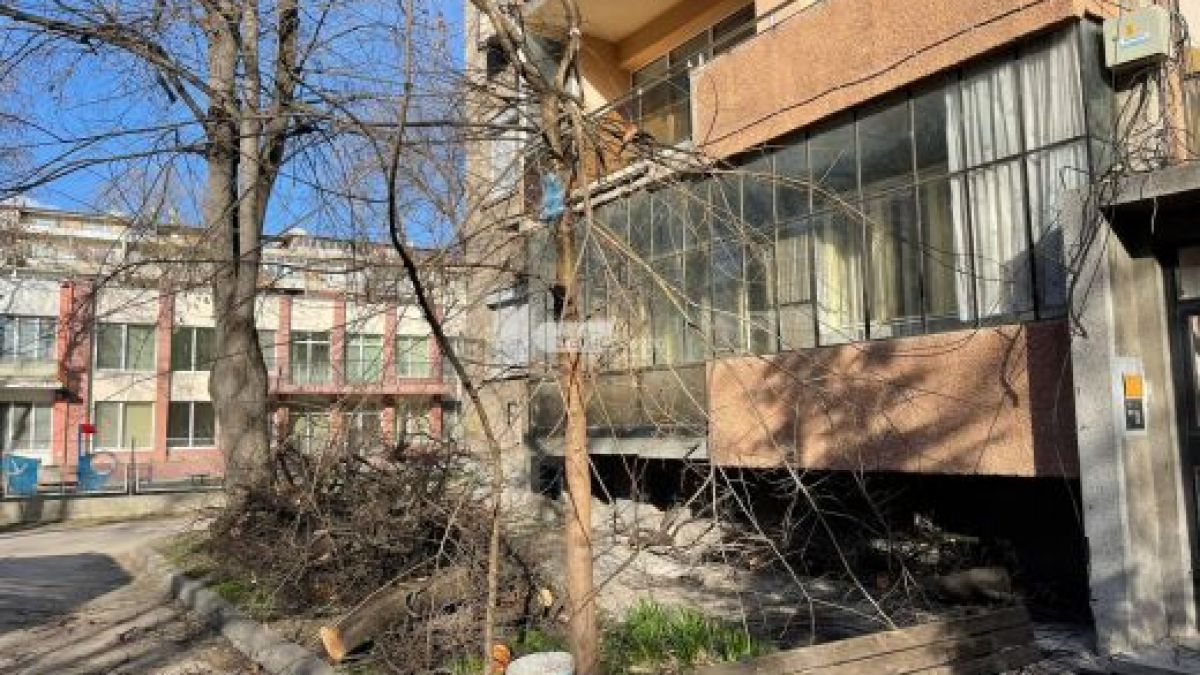 Три месеца след ужаса: Премазаното от дърво дете се изправи на крака, но...