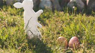 Знаете ли какво е клъцоняк и чуканец? Точно сега е моментът да научите 