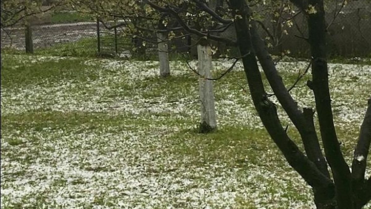 Почна се! Мощни гръмотевични бури и градушка помляха половин България ВИДЕО 