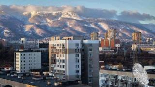 Столичани пропищяха от опасна напаст, плъзнала между блоковете СНИМКА  