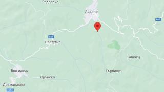 Търсят под дърво и камък Фанка, последно са я видели... СНИМКИ