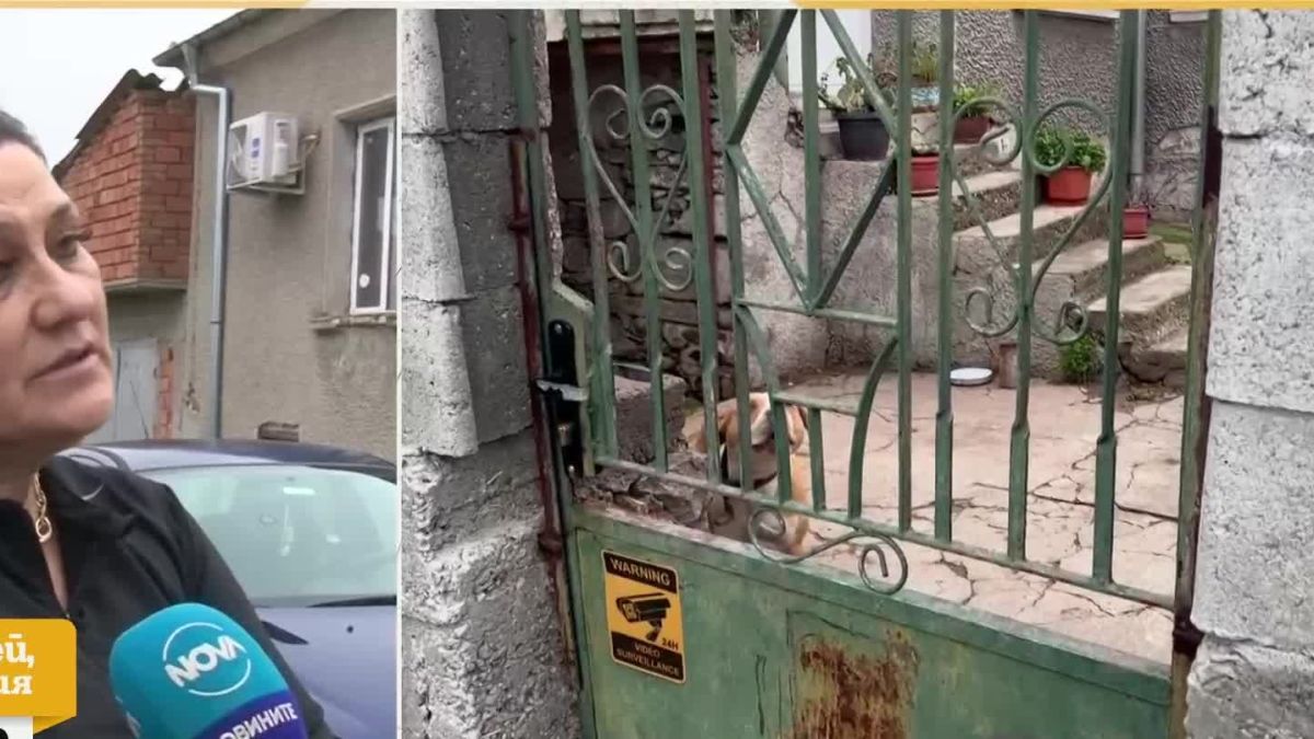 Ротвайлер нападна майка с бебе в Димитровградско и стана страшно! ВИДЕО