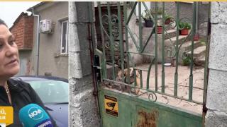 Ротвайлер нападна майка с бебе в Димитровградско и стана страшно! ВИДЕО