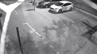 ВИДЕО запечата гнусна вандалщина в Благоевград, ще се слисате