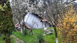 Пещерата, зейнала в частен имот в Смолян, взе първи жертви ВИДЕО 