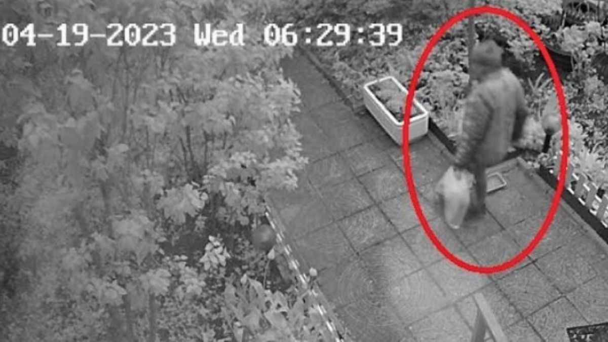 Доказано: Трябва да живеем в кочина, не заслужаваме нищо красиво СНИМКИ