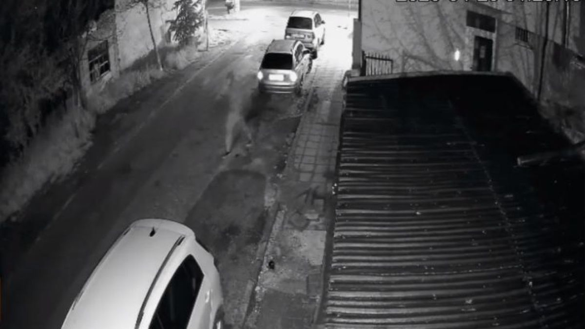 ВИДЕО запечата брутален тормоз в столичен квартал