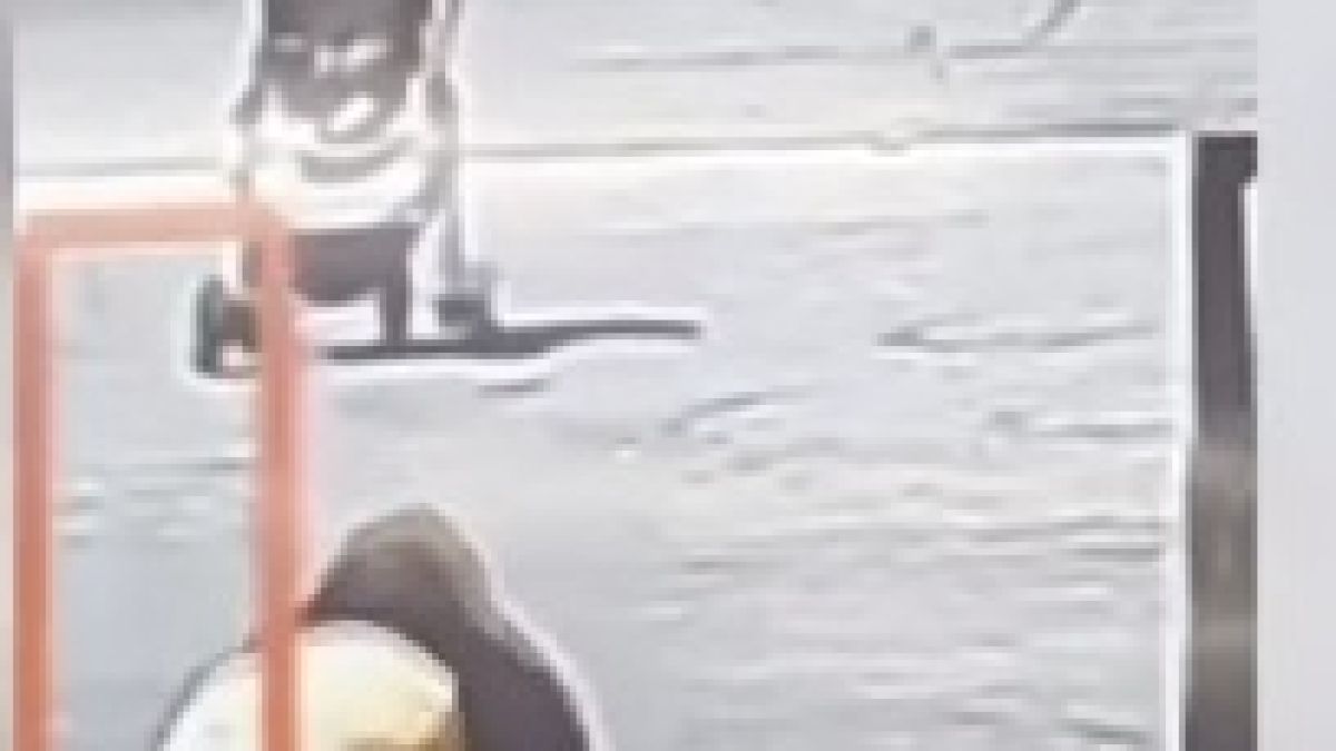 Цял свят говори за това ВИДЕО с бебе, разсеяна жена и мъж, който...