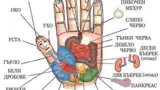 Известният пожарникар-лечител Георги Гавраилов: Бременните да не носят черни дрехи, защото...