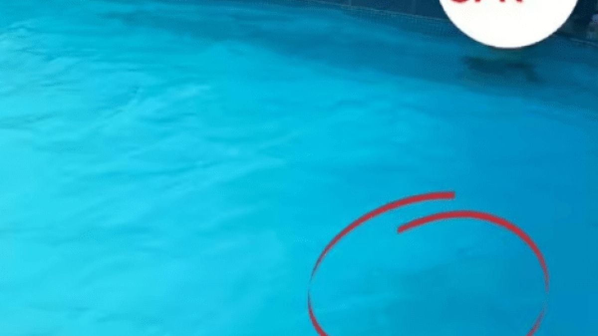 СНИМКА на дете със сини бански в басейн ужаси родителите по света