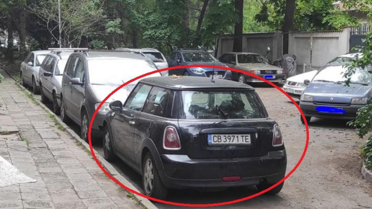 Жалката БГ реалност: Това е случка с полицаи, "паяк", Мини Купър и вбесени софиянци СНИМКИ