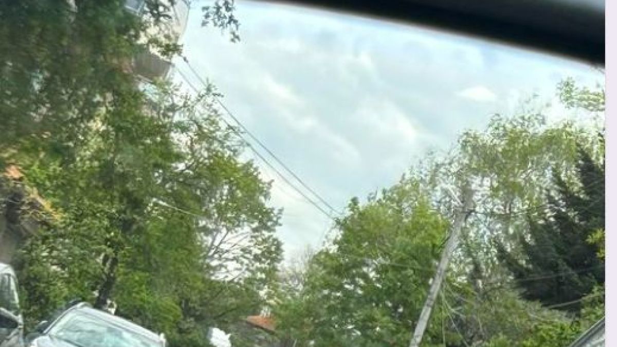 Мрежата прегря заради тази СНИМКА от "Манастирски ливади": Това вече не се вижда в София 