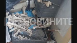 Какво се случва? Намериха купища човешки кости в Созопол ВИДЕО
