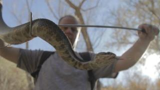 Необичайна обява за работа: Варна обяви свободна позиция за...