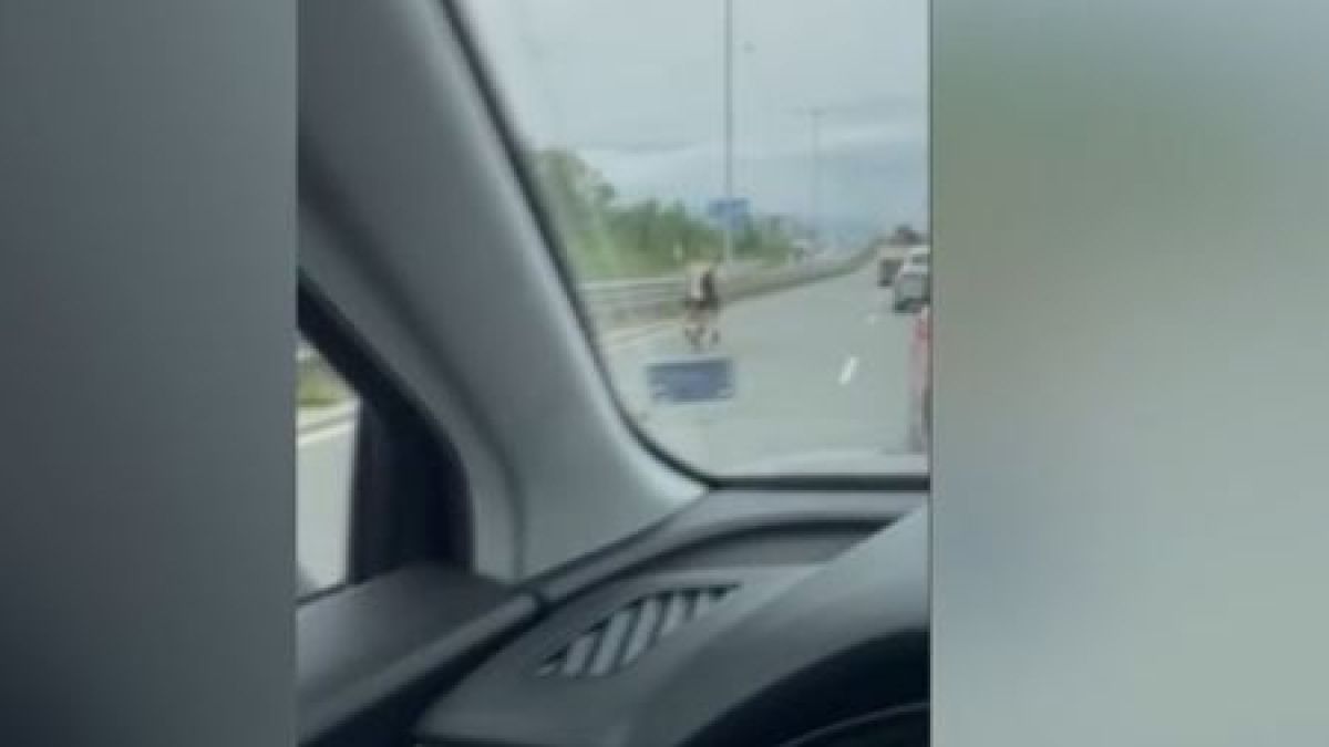 Шофьори по столичното Околовръстно се видяха в чудо ВИДЕО