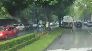 Нужно ли е? Градинар в Пазарджик полива цветя по време на дъжд ВИДЕО