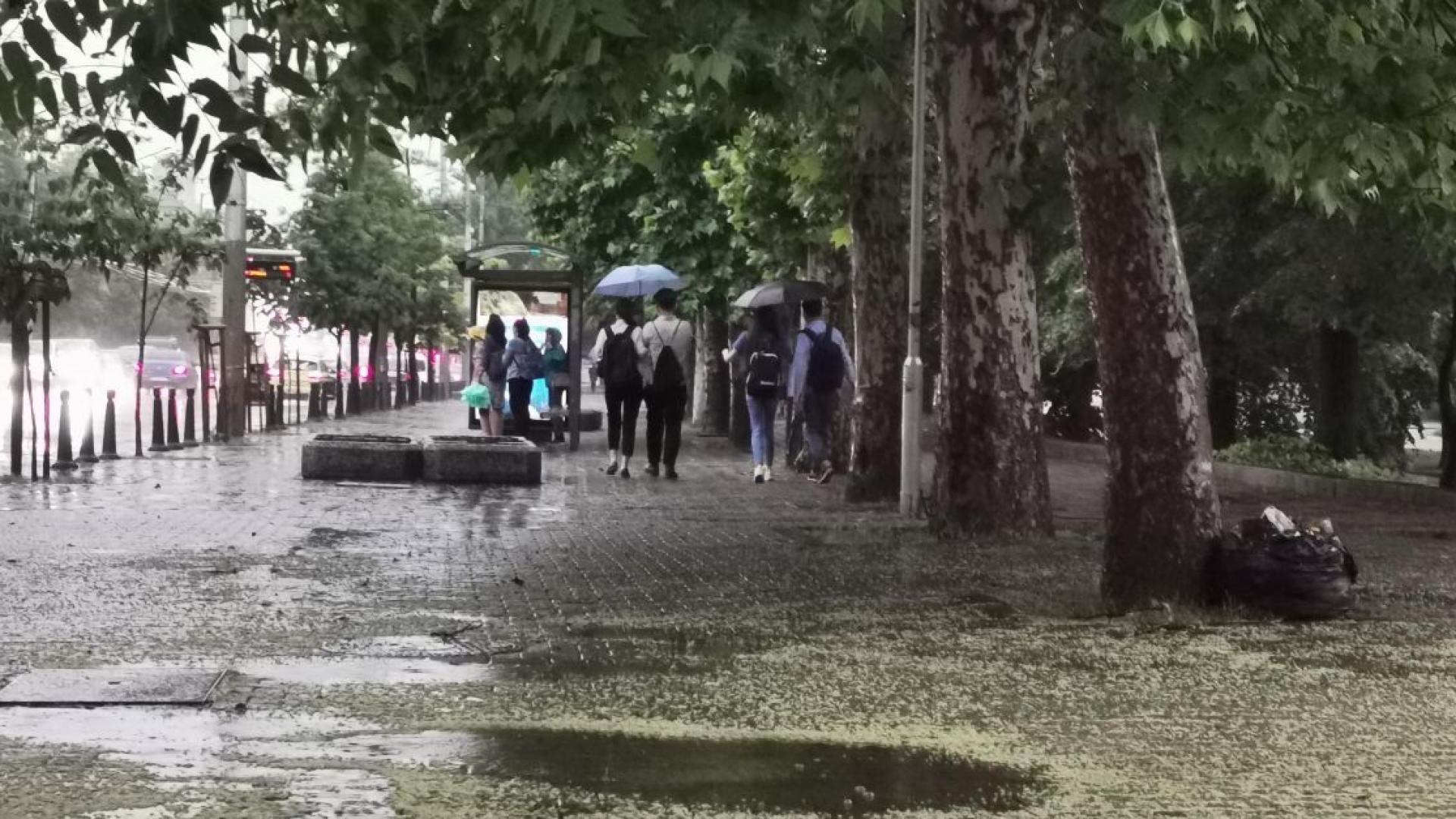 Известен синоптик разплака всички с тази дългосрочна прогноза за лятото