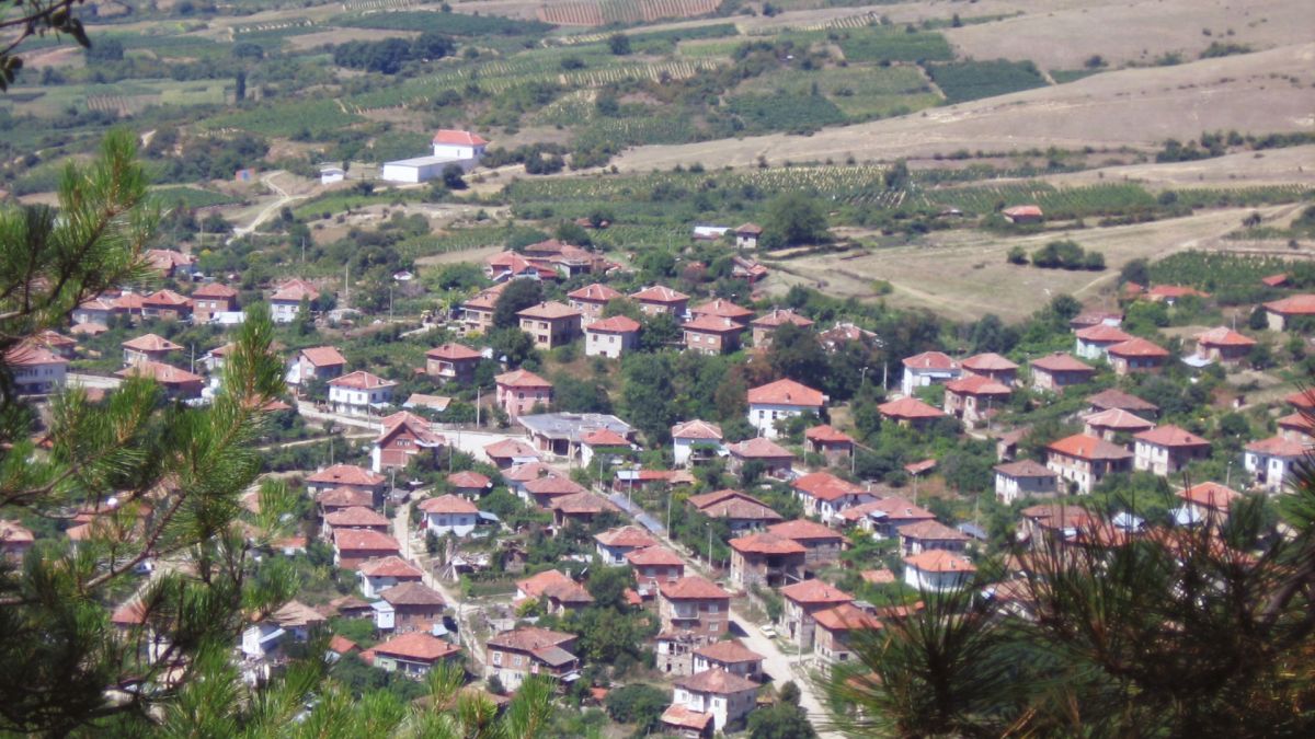 Невиждан бум: Евреи, руснаци и украинци изкупиха имотите в Пиринско 