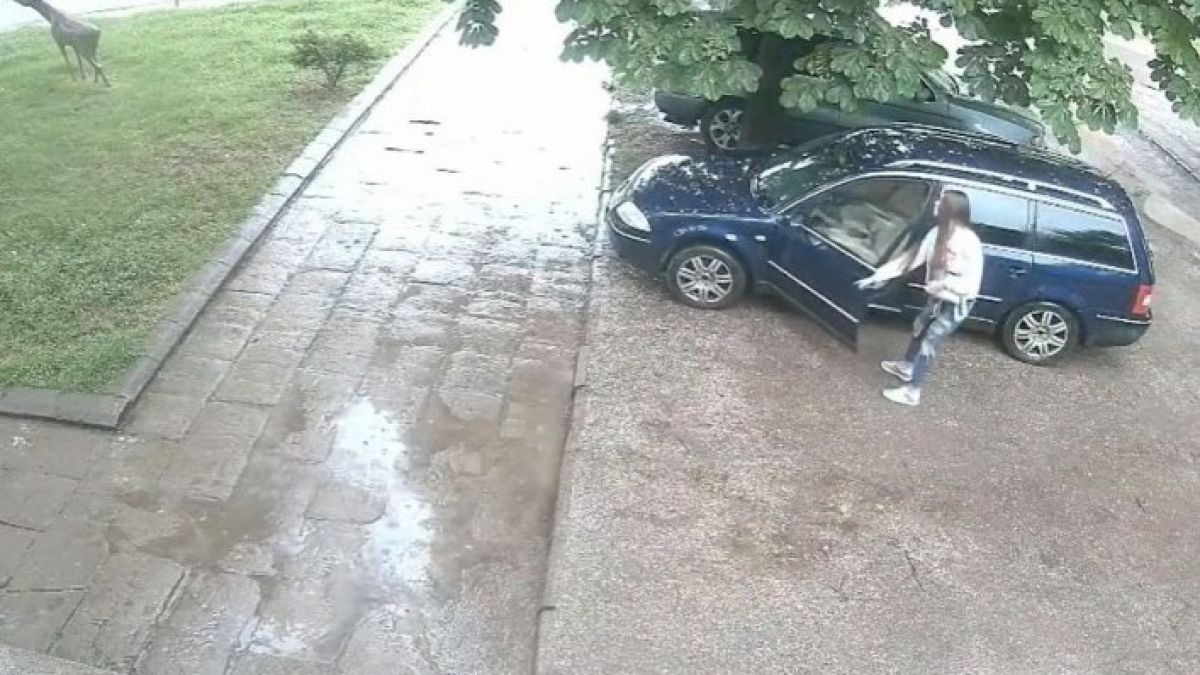 Шофьрка подпали мрежата с грозна постъпка във Велико Търново СНИМКИ