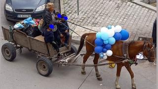 Столичани се оцъклиха къде отива тази "абитуриентска" каруца СНИМКА
