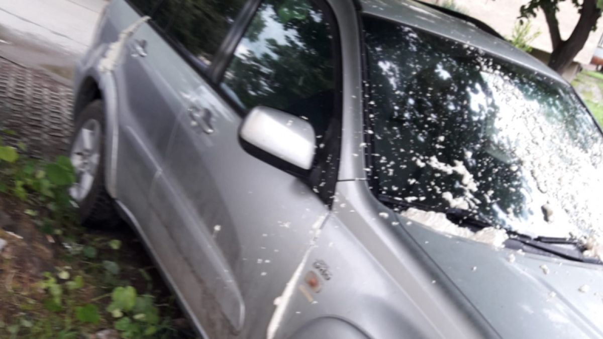 Жестоко отмъщение срещу кола в Стара Загора, местните не са виждали такова СНИМКИ