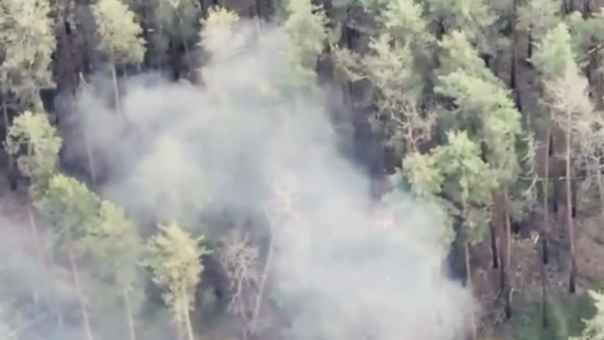 ВИДЕО от войната: Украински граничари унищожиха руски военен склад в Донбас