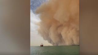 Страшно е: Пясъчна буря сее смърт в Суецкия канал ВИДЕО