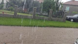 Страшно е! Порой удави тези части на България ВИДЕО 