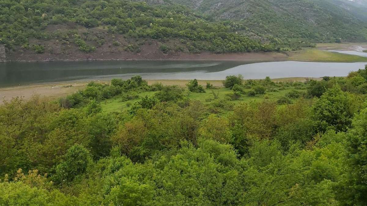 Път няма, трева до кръста, но... 20 000 лева за декар искат в затънтено село