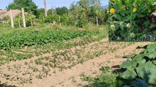 Помните ли що е то Образцов дом? Жена от Родопите го показа ВИДЕО