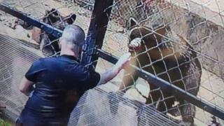 Понито пак ще хапе и къса пръсти, скандални СНИМКИ от Старозагорския зоопарк