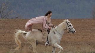 Конят Шифър хвърли ездачката си и изчезна край софийското село Равно поле СНИМКИ