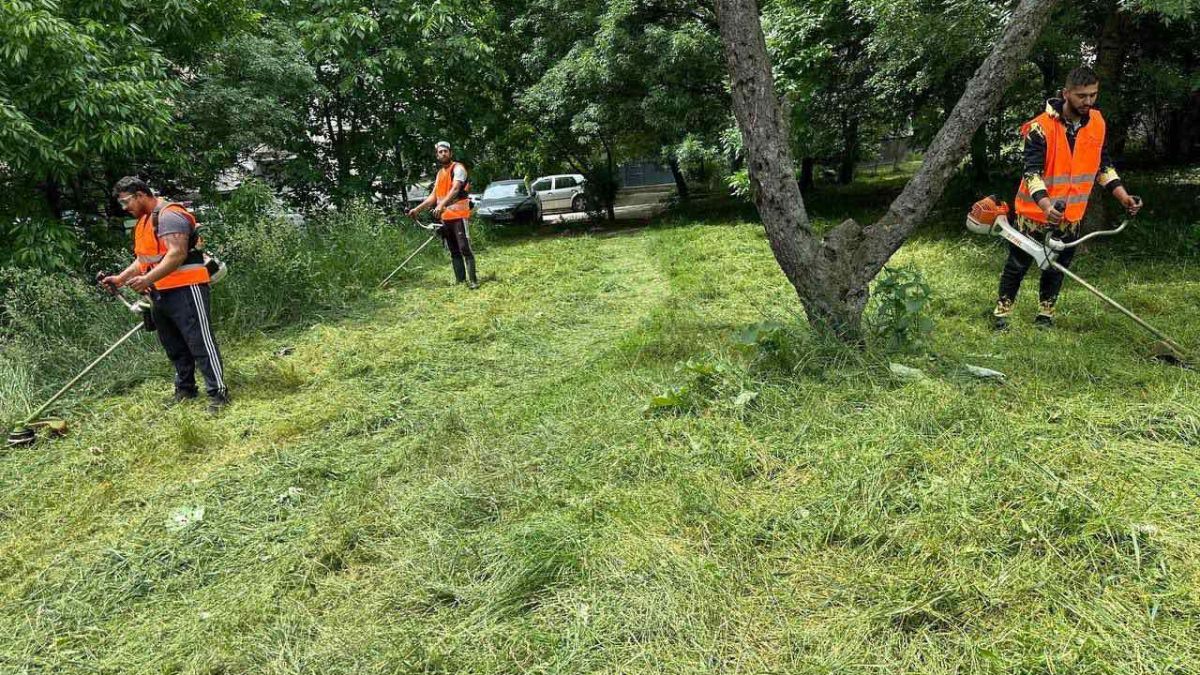 След Росина Станиславова потоп! Столична община започна ударно косене в Красно село