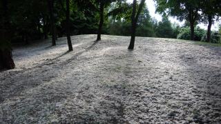 Мрежата в ступор от тези СНИМКИ от столичния Южен парк, всички се чудят какво е това