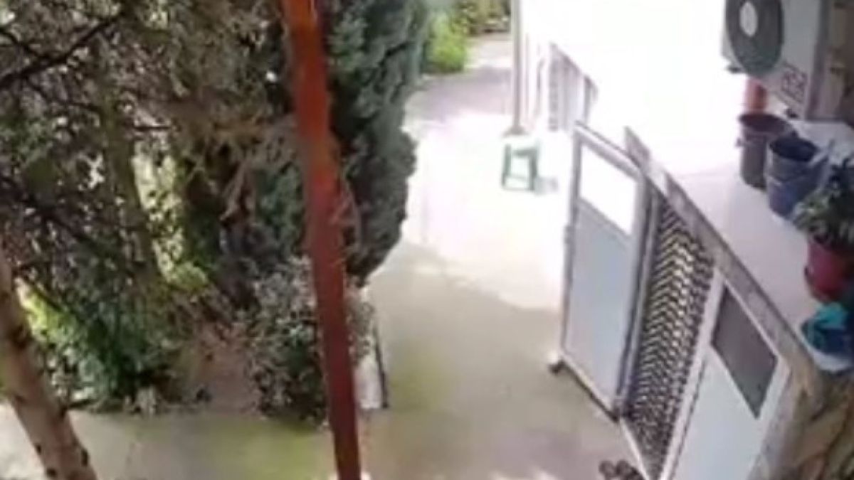 Зловещ тътен: Шокиращо ВИДЕО със звук от силното земетресение до Пловдив!