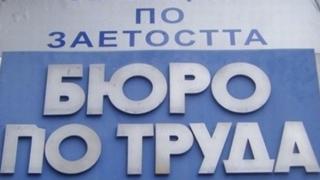 Експерт обясни какви са възможностите за възстановяване на регистрация в Бюрото по труда