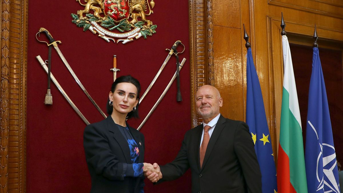 Военният министър Тагарев се разбра с украинската посланичка за БГ оръжията