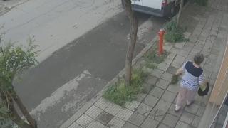 Жена на възраст вбеси сливналии, за Коледа ли се готви ВИДЕО 