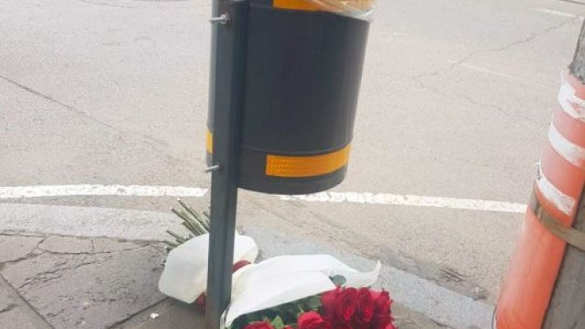 Тъжна гледка до кошче за боклук на столичен булевард, каква е причината СНИМКА  