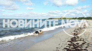 Трети труп изплува на родното крайбрежие