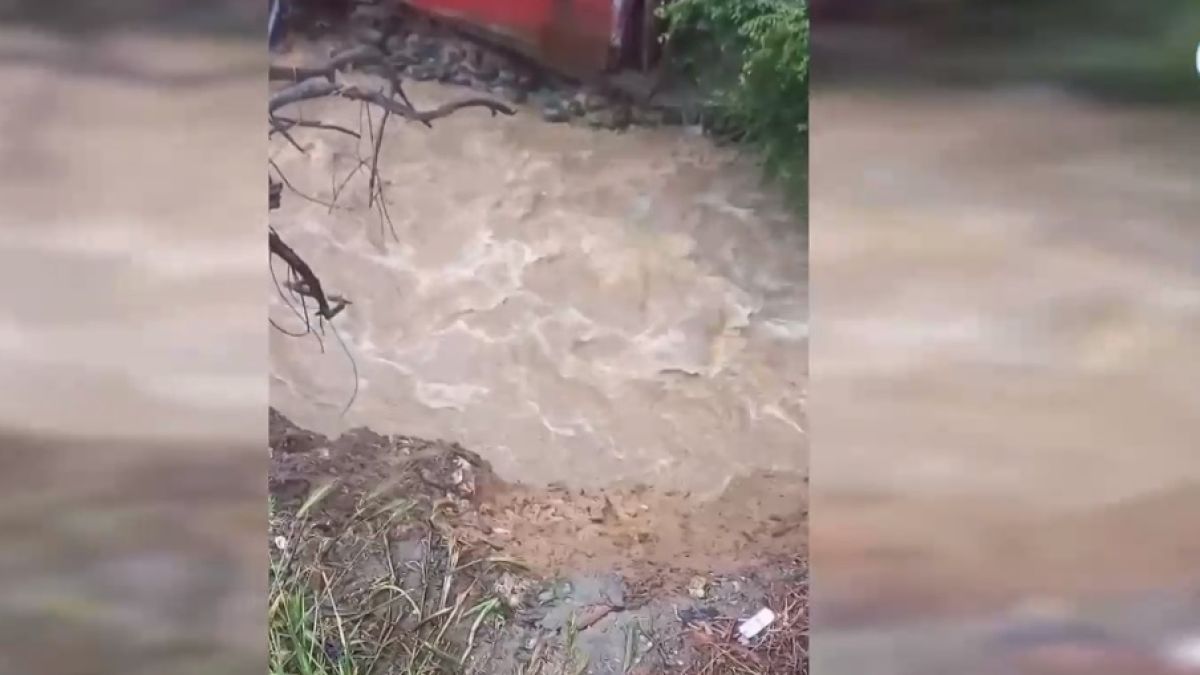 Нов ужас връхлетя Берковица, местните треперят ВИДЕО