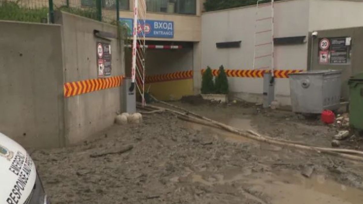 Пълен шок! Заради пороя кола се заби в дърво до къща кв. "Симеоново" в София СНИМКИ