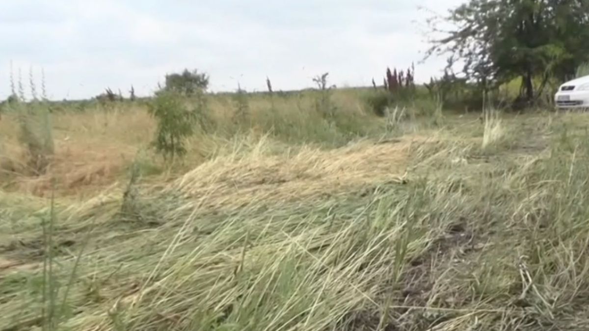 Това разкритие за касапницата с деца край Козлодуй ще ви разплаче ВИДЕО