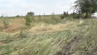 Това разкритие за касапницата с деца край Козлодуй ще ви разплаче ВИДЕО
