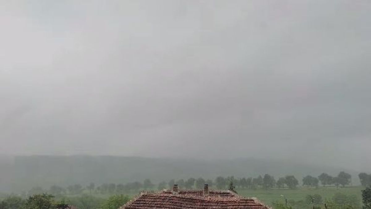 Нов порой удави Видинско ВИДЕО 