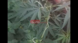 Пълен шок! Какво е това, което вирее до РПУ в Нова Загора СНИМКИ