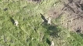 ВИДЕО от войната: Показаха как десантчиците от ВСУ напредват близо до Бахмут