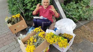 Всички в Търново знаят за баба Стефка, ето с какво покори сърцата им