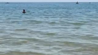 Плажуващ показа ВИДЕО от Несебър и затвори устата на всички